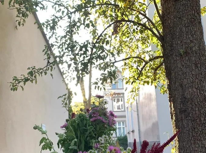 アパート Special